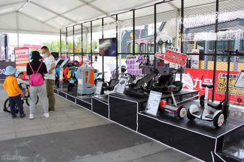 互聯(lián)網(wǎng)電動(dòng)車 服務(wù)光環(huán)下的實(shí)體工廠與購車迷思